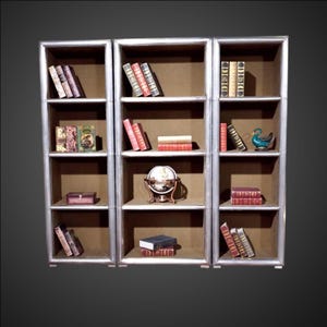 May include: A set of three silver-framed bookshelves with multiple shelves. The shelves are filled with books of various sizes and colors, along with decorative items like a globe and a small bird figurine. The background is a neutral brown.
