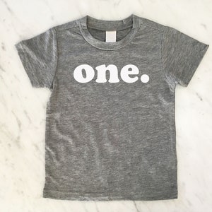 First Birthday Shirt, One Shirt, Gender Neutral Birthday Shirt, ANY number, MANY colors, MANY sizes