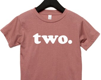 Second Birthday Shirt, 2nd Birthday Shirt, Kids Birthday Shirt, Can Be Any Number, Lots of Colors to Choose From