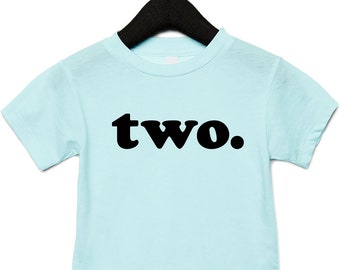 Second Birthday Shirt, 2nd Birthday Shirt, Kids Birthday Shirt, Can Be Any Number, Lots of Colors to Choose From