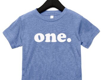 First Birthday Shirt, Blue Birthday Shirt, Kids Birthday Shirt, Can Be Any Number, Lots of Colors to Choose From