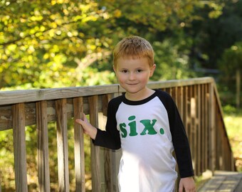 kid's birthday shirt - Kid's personalized NUMBER raglan baseball shirt - first, second, third, fourth, fifth, sixth, etc - you choose colors