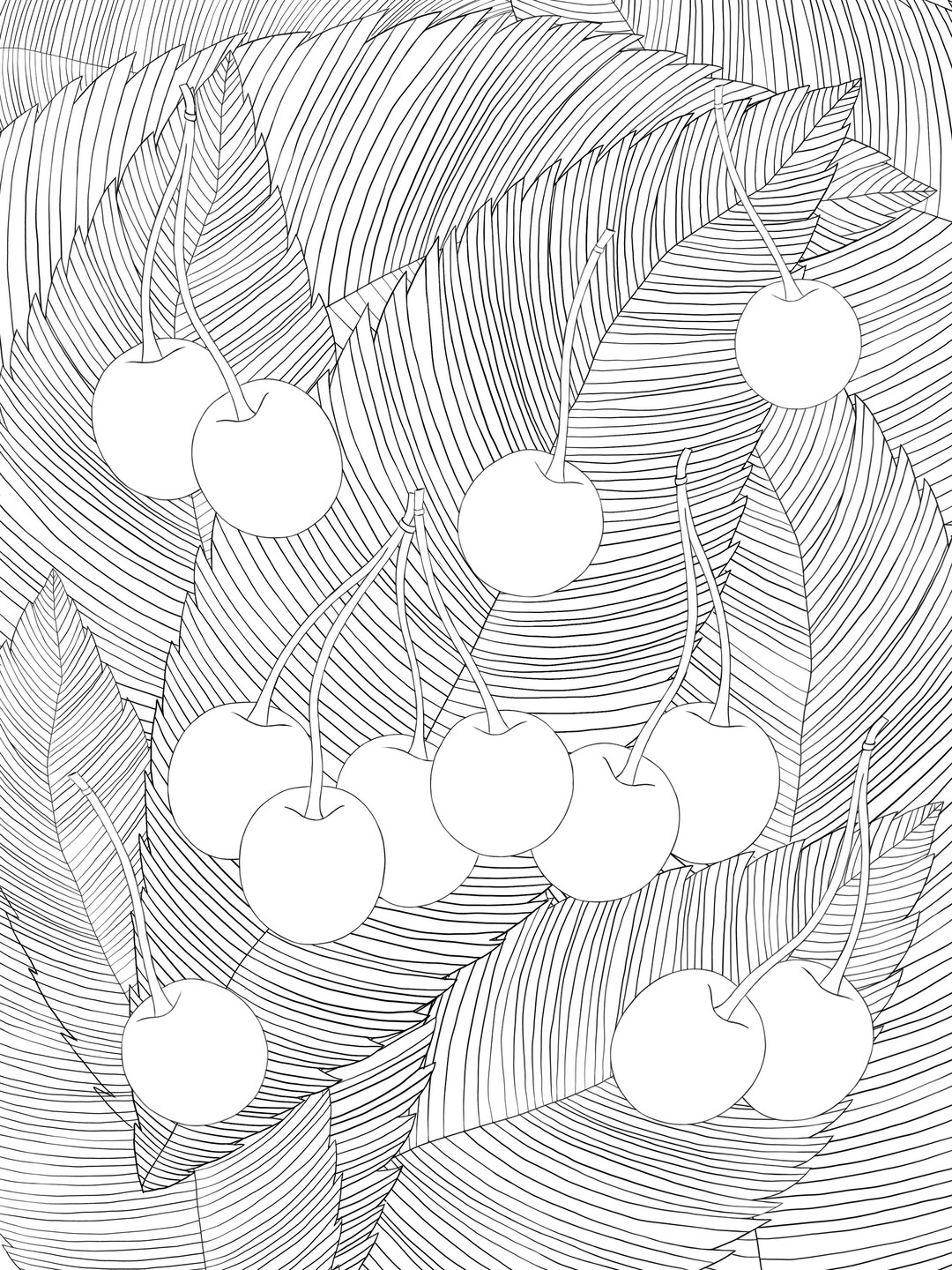 Cherry Botanical Line Art Illustration – Black and White Minimalist ...