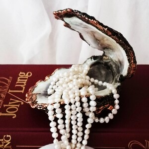Puede incluir: Una concha de ostra abierta con un borde de color cobre metálico que contiene un largo collar de pequeñas perlas blancas. La concha descansa sobre un libro rojo oscuro con texto dorado Joly/Lung, con un interior liso y un exterior texturizado.
