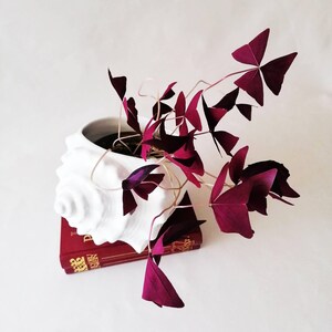 Op de afbeelding: Een witte keramische plantenpot in de vorm van een zeeschelp met een paarse oxalisplant met driehoekige bladeren. De pot staat op een rood hardcover boek met gouden letters op de rug. De plant heeft dunne, lichtgekleurde stengels en donker blad.