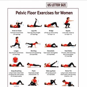 May include: A white instructional chart titled Pelvic Floor Exercises for Women in US Letter Size. It features sixteen illustrations of a person in a red shirt and black leggings performing various exercises with text labels and repetition counts.
