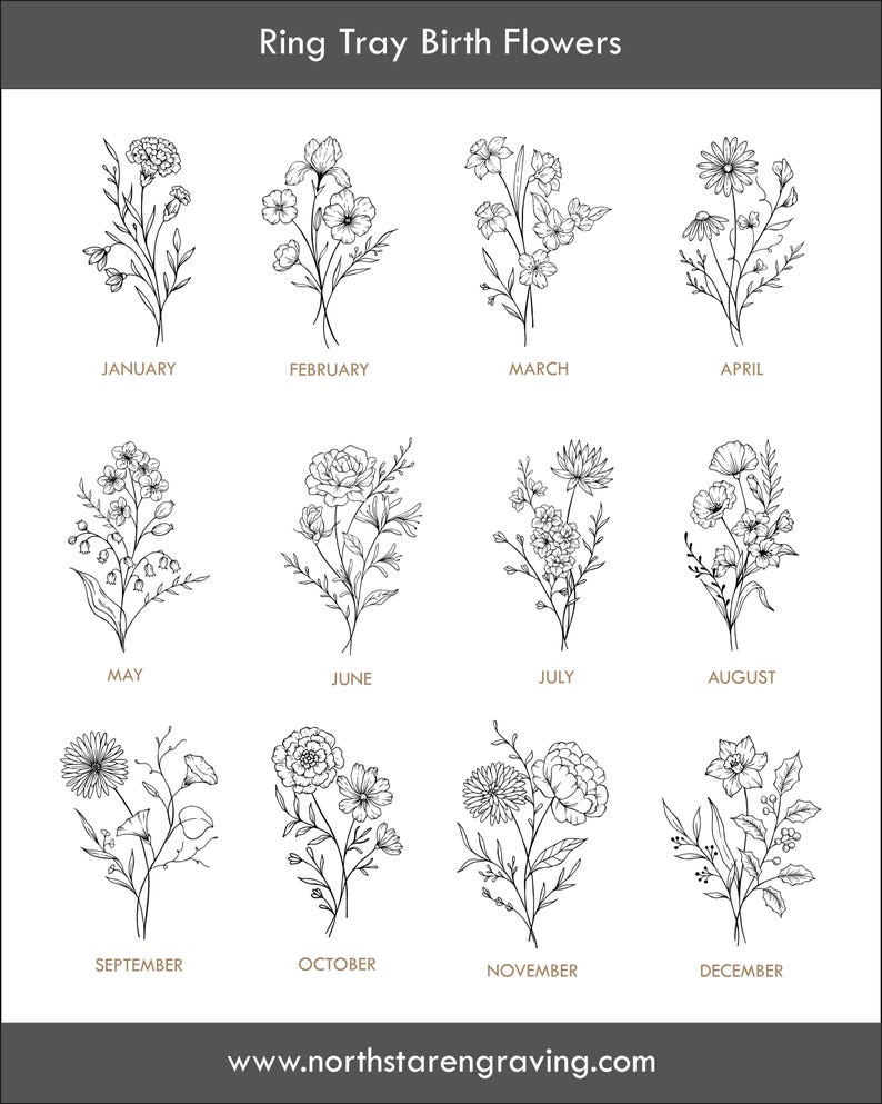 May include: A chart of birth flowers for each month of the year. The flowers are drawn in black ink and are arranged in a grid. The months are listed below each flower.