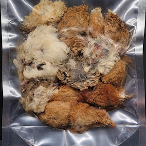 May include: A clear plastic bag filled with a collection of dried bird feathers. The feathers vary in color, including shades of brown, tan, and cream. Some feathers have speckled patterns, and the texture appears soft and fluffy.