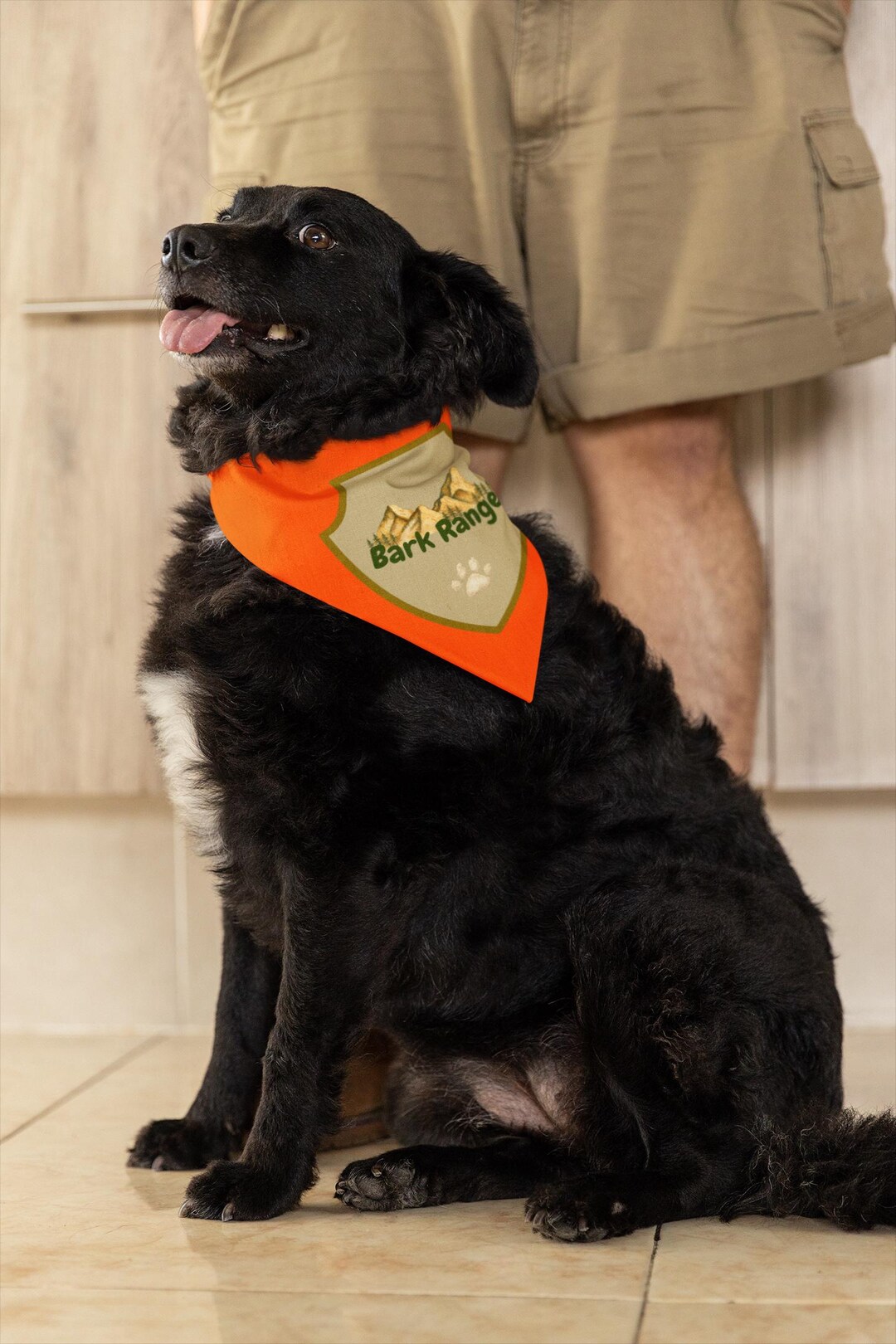 Bark Ranger Badge Pet Bandana | Pet Accessory - Etsy
