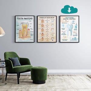 May include: Three framed dental anatomy posters hang on a gray wall. The posters are titled "Tooth Anatomy", "Stages of Tooth Decay", and "How to Prevent Dental Cavities". A green chair and ottoman sit below the posters.