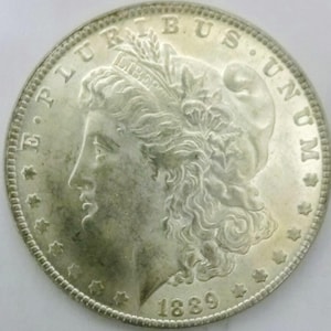 Può includere: Una moneta d'argento con il profilo di una donna incoronata, circondata dalle parole "E PLURIBUS UNUM" e "LIBERTY". L'anno "1889" è visibile in basso. La moneta presenta dettagli fini e un aspetto invecchiato.