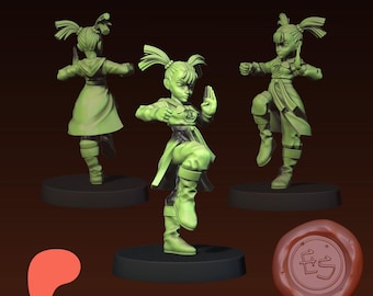 DQ3 Kampsportare 3D-utskriven bordsspelsminiatyr - Ethan Savage Studios