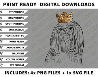 Shih Tzu Dog Wearing Crown Png Bundle, Digital Downloads