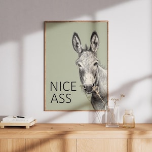 May include: A framed art print featuring a detailed pencil drawing of a donkey with the text "NICE ASS" in bold, black letters. The donkey is depicted in shades of gray and white, with a sprig of grass in its mouth. The background is a muted green.