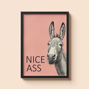 Könnte beinhalten: Gerahmter Kunstdruck mit einer detaillierten Bleistiftzeichnung eines Eselkopfes und -schultern. Der Esel ist vor einem rosa Hintergrund mit den Worten "NICE ASS" in schwarzen Blockbuchstaben platziert. Das Kunstwerk befindet sich in einem schwarzen Rahmen.