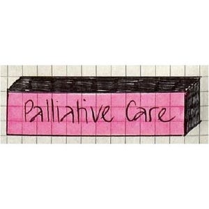 May include: A hand-drawn illustration of a rectangular block with the words "Palliative Care" written in cursive on a pink surface. The top and sides of the block are black, and the background is a grid.