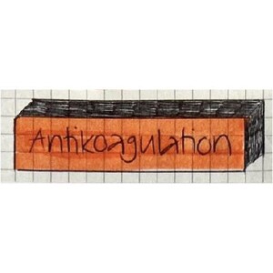 May include: A hand-drawn illustration of a rectangular block with the word "Antikoagulation" written in orange. The block has a black top and sides, and is set against a grid background.