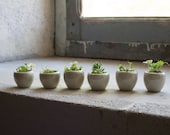 Vintage French Escargot Dishes // Set of 6 Miniatures /Rustic Sandstone // Garden Planter // Mini Plant // French Country // Beige Container