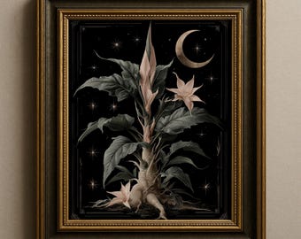 Dark Botanical Wall Art, Mandrake Plant Wicca Print, Gothic Celestial Witchy Decor