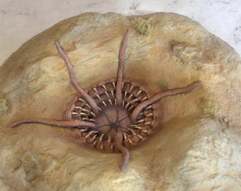 Handmade Gaming Terrain: Star Wars Legion Style Sarlacc Pit