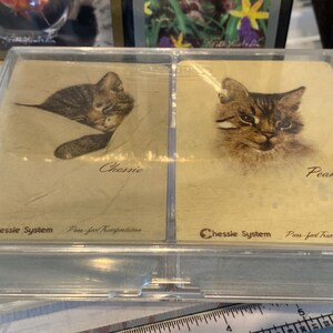 May include: Two cards with images of cats on them. The card on the left has a sleeping cat with the name "Chessie" and the text "Chessie System Pass for Transportation". The card on the right has a cat looking at the camera with the name "Peake" and the text "Chessie System Pass for Transportation".