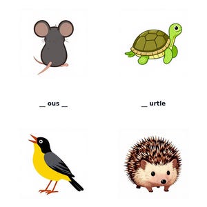 Peut inclure: Une fiche p&eacute;dagogique intitul&eacute;e Identify the picture and complete their names pr&eacute;sentant quatre illustrations : une souris grise avec le texte _ous _, une tortue verte avec _ urtle, un oiseau jaune et noir avec Ca ___ ry, et un h&eacute;risson brun avec H _ dge _ og.