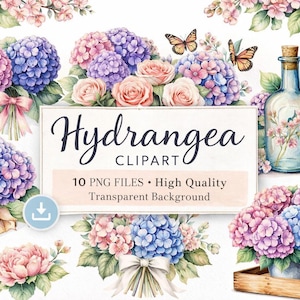 Vintage Hortensie Aquarell Clipart, blaues PNG Bündel