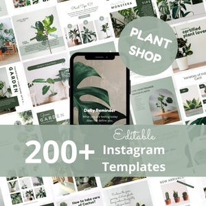 Puede incluir: Una colección de más de 200 plantillas de Instagram editables con temática de plantas. Las plantillas presentan imágenes de varias plantas de interior, con superposiciones de texto como "Plant Shop" y "Daily Reminder."