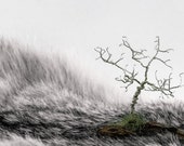 Wee Tree Mini Landscape Bronze Wire Wood Lichen