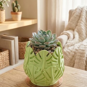May include: A light green ceramic planter with a leaf design, holding a succulent plant. The planter sits on a copper-coloured coaster. Other plants and decor are visible in the background.