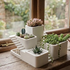 Könnte beinhalten: Eine mehrstufige weiße Pflanzanordnung mit verschiedenen Sukkulenten und Kakteen. Die Anordnung umfasst ein Treppendesign, einen quadratischen Pflanztopf und eine Kupfergießkanne. Die Pflanzen werden auf einer Holzfensterbank ausgestellt.