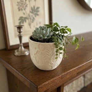 Könnte beinhalten: Ein cremefarbener Keramik-Blumentopf mit geprägten Ostermotiven, darunter Hasen und Eier, enthält eine Sukkulente und grüne Hängepflanzen. Der Topf steht auf einer dunklen Holzoberfläche, im Hintergrund ein botanischer Druck.