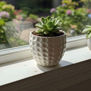 May include: Two succulent plants in white ceramic pots sit on a white windowsill. The larger pot has a textured, dimpled surface. The plants have green leaves and are positioned in front of a blurred outdoor background.