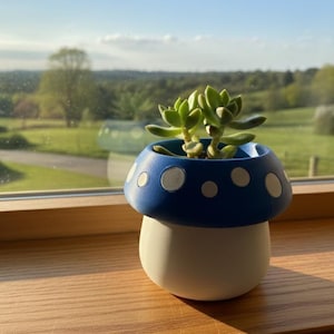 Könnte beinhalten: Ein pilzförmiger Blumentopf mit blauem Oberteil und weißen Punkten, der eine grüne Sukkulente enthält. Der Sockel ist weiß. Der Topf steht auf einer Holzfensterbank, mit Blick auf die Natur durch das Fenster.