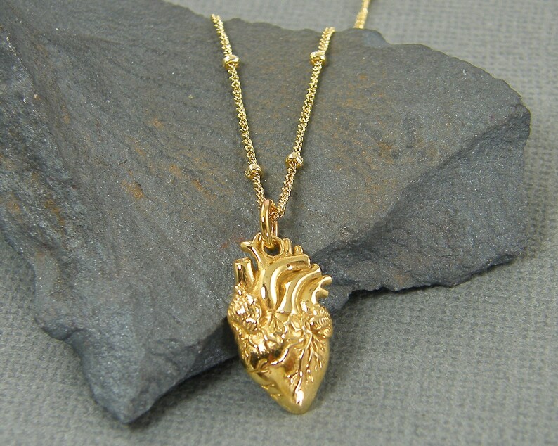 Anatomical Heart Necklace Gold Bronze Heart Pendant Charm Etsy