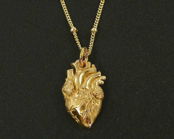 Anatomical Heart Necklace Gold Bronze Heart Pendant Charm - Etsy