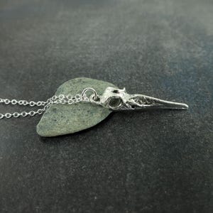 Bird Skull Necklace, Silver Gothic Punk Pendant, Crow Raven Hummingbird Bird Skeleton Necklace |NC1-10
