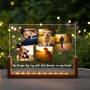 Personalized Pet Memorial, Custom Acrylic Dog Bereavement Gift, Cat Memorial Night light