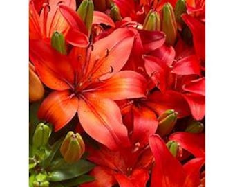 lovely flower for photo frame
