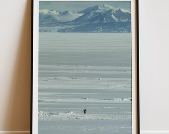 Motivational Penguin Wall Art, But Why Penguin Poster, Nihilist Penguin Print, Funny Inspirational Decor Motivational Art [Digital Download]