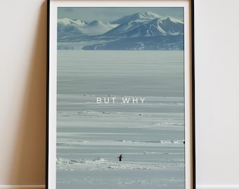 Póster de pingüino "Pero por qué", arte mural viral motivacional de pingüino, estampado animal nihilista, decoración minimalista divertida para el hogar y la oficina [Descarga digital]