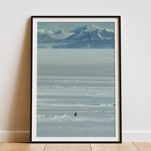Motivational Penguin Wall Art - But Why Penguin Poster, Nihilist Penguin Print, Funny Inspirational Decor, Motivational Wall Art