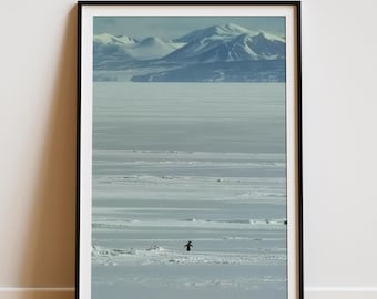 Arte mural motivacional de pingüinos: póster "¿Pero por qué?", impresión de pingüino nihilista, decoración inspiradora divertida, arte mural motivacional.