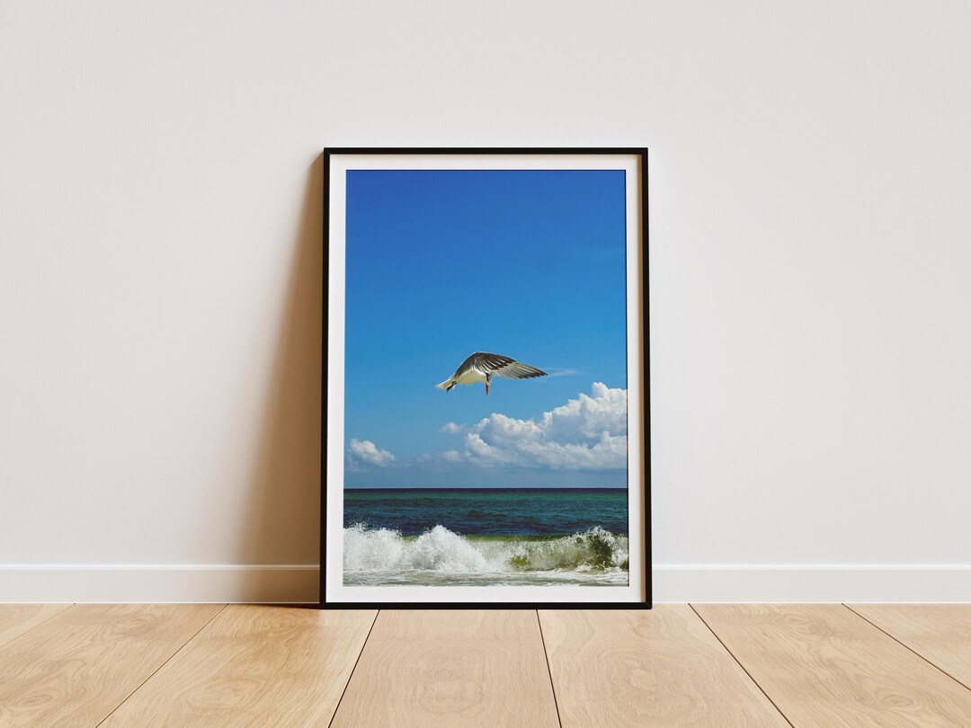Seagull Ocean Wall Art Print, Coastal Bird Photography Poster, Beach ...