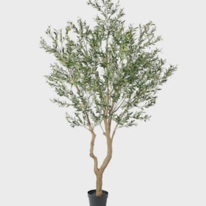 May include: An artificial olive tree in a black pot. The tree has a slender, light brown trunk with multiple branches covered in green leaves. Small, yellow-green olive-like details are visible among the leaves. The pot is a simple, dark gray cylinder.