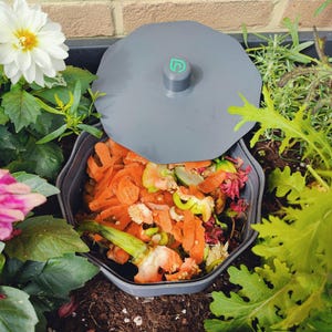 Pode incluir: Um recipiente cinzento para compostagem com tampa, cheio de restos de vegetais. A tampa tem um logótipo verde. O recipiente é rodeado por plantas e flores verdes, incluindo uma dália branca e flores cor-de-rosa. O recipiente está ao ar livre.