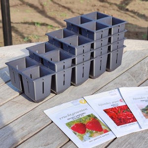 Professionelle Anzuchtschale für den Gemüsegarten – robuste Anzuchtschale für Voraussaat und Keimtests – verschiedene Größen