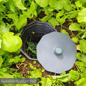 Pode incluir: Um canteiro cinzento com uma tampa a condizer, parcialmente aberta, rodeado por plantas verdes folhosas. A tampa tem uma pequena pega circular com um design verde iluminado. O texto "kweekbed/plant bed" é visível na parte inferior.