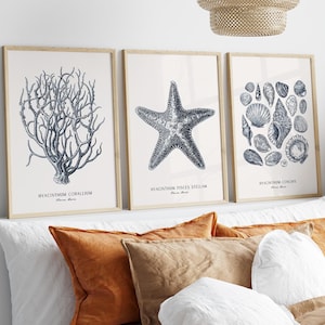 May include: Three framed botanical prints featuring marine life illustrations. The prints depict coral, a starfish, and various seashells in shades of blue and white. Each print has a wooden frame and is displayed above a bed with orange and tan pillows.