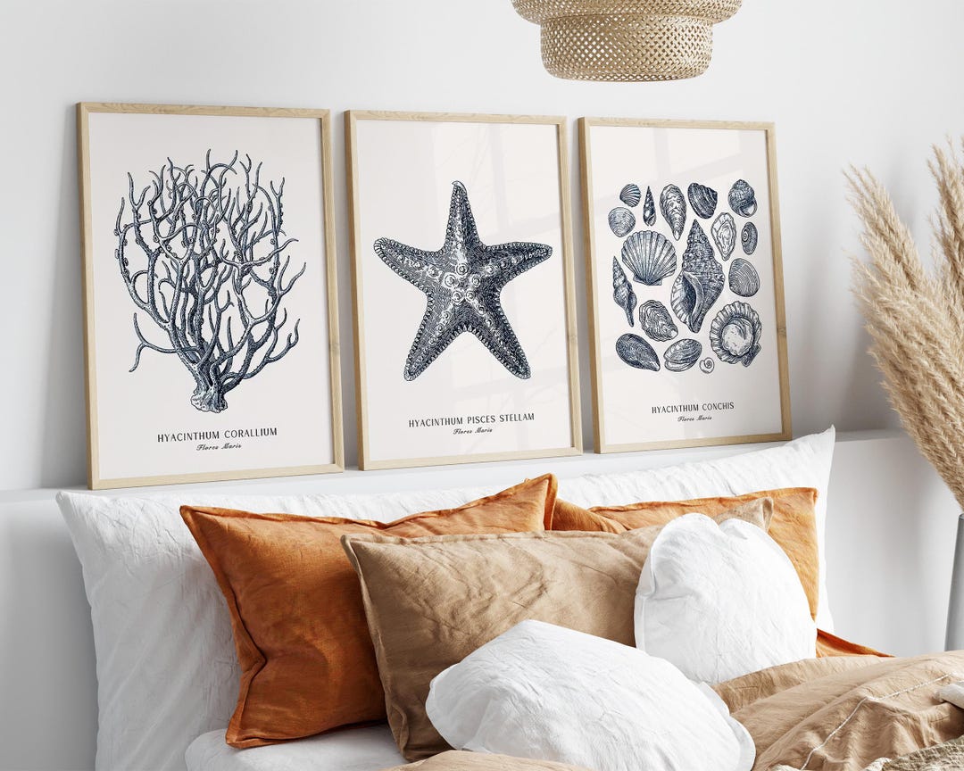 Vintage Coastal Wall Art Set of 3, Blue Coral Starfish Shell Prints ...